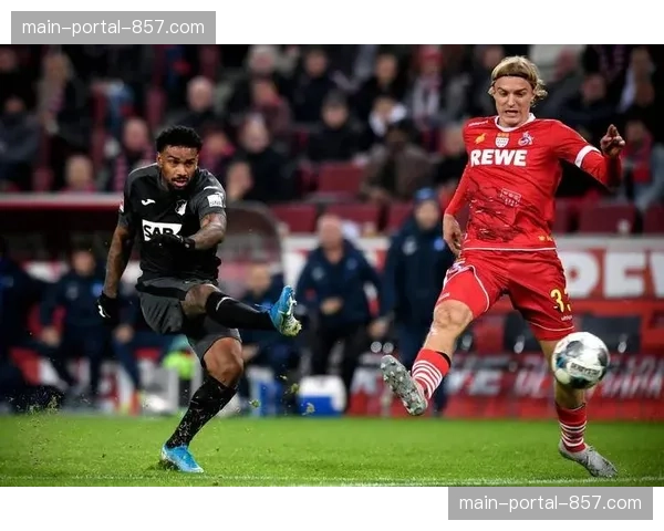 消息：霍芬海姆主力中卫伤愈复出，将显著提升球队定位球防守高度